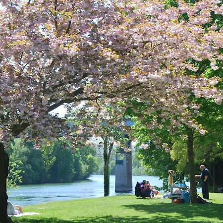 Private 1 Bedroom Flat In Apartamento