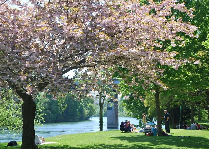 Private 1 Bedroom Flat In Apartamento